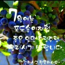 법정스님의 좋은글 모음(AI낭송), 버리고 떠나기, 무소유 이미지