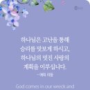 멋진 사랑의 계획 이미지