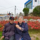 로뎀나무의원 네이버블로그
