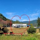 가락재로 이미지