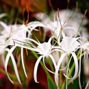 옥동스크린골프연습장 이미지