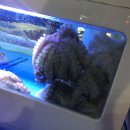 마곡 조개를탐하다 방문 후기 : 마곡 조탐 : 마곡해산물 : 발산역해산물 : 서울식물원근처맛집