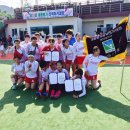 동해웰빙레포츠타운 하키장 이미지