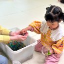 꿈터 | 꿈터 9호점 오감 솔직후기