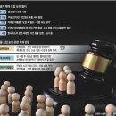 (주)코리아세븐 관악현대점 | 2026. 4. 17 일간지 경제뉴스 브리핑