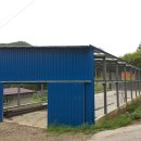 늘푸른 흑염소농장 이미지