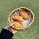 평택 팽성 애견카페 놀다가개 재밌게 즐기고 왔어요! 내돈내산 방문후기