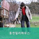 동천일리하우스