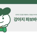 미유펫동물병원