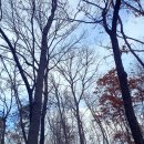 영흥숲공원 숲놀이터 이미지