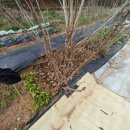 태농농장 이미지