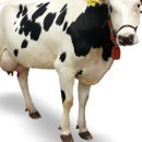 이천목장 이미지