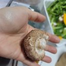 샤브샤브담채 | 강서구 샤브샤브 '담채' 배달 후기 (내발산맛집/내발산샤브샤브/발산맛집/내발산배달/발산배달/화곡동...
