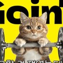 골드휘트니스 이미지