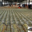 서남젓갈 이미지