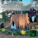 (공연) 사운드 이머시브 씨어터 <고스트쉽>+<코마> | 강릉 여행 코스 추천! 하슬라 이머시브 아트쇼 무료 관람 팁