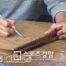 디스민박 이미지