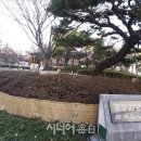 경상감영공원 이미지