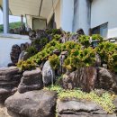 돌담장식당 이미지