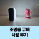 루아트 | 루아트 LED 충전식 미니 조명등 구매/사용 후기_내돈내산