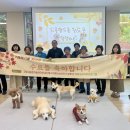 댕댕파티 이미지