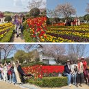 서호하단병원 이미지