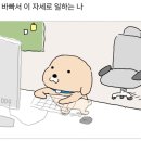 키다리여행사 - 강진군 병영성로 142 | 나트랑 #1 우여곡절 2월의 냐쨩☔️