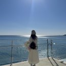 동트는 아침 | [경주/감포] 샵앤플렛 호텔&amp;풀빌라 경주 감포 오션뷰 자쿠지 숙소 후기