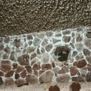 뉴모닝스파 이미지