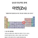닐라닐라바닐라