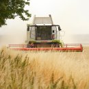 보전축산 | 귀농 주택구입 지원 (융자 조건, 실제 후기, 신청 전 확인)