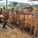 인수목장 이미지