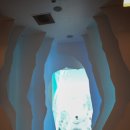 스타사파리(star safari) | 안성 스타필드 글로우 사파리 후기