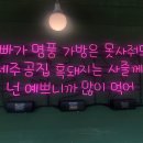 중문허브독채펜션 이미지