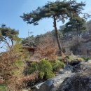 옥금로 티스토리