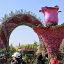 대지-생명 이미지