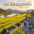 화순시외버스공용정류장 | 화순 봄꽃축제 2026 완벽 가이드 | 유채꽃 명소부터 주차·공연까지