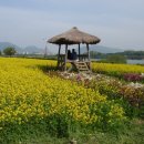 닥터김의원 이미지