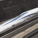 샬롬 주식회사 이미지