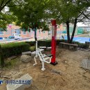 충주중학교