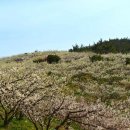 대화농장 이미지