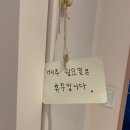 봄봄그루밍샵 이미지