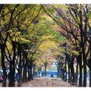 중앙화원 이미지