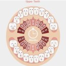 진리치과의원 이미지