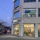 아이비 | 원주 식물가게 ‘잎풀 IPPUL’ 원숭이 꼬리 선인장&amp;하트 아이비 후기