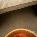 생활중국어(입문반) | 제주]부모님 모시고 가도 되는 ‘발맛사지’(ft.치치의 리얼 차이나 팁)