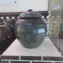 울산 재활용 | 부산에서 울산으로 당일치기 여행 다녀온 후기 (w.캐논 파워샷 v10)