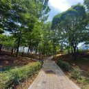 마재근린공원 이미지