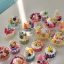 지품중학교 이미지