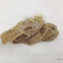 분당 아마존 동물병원 이미지